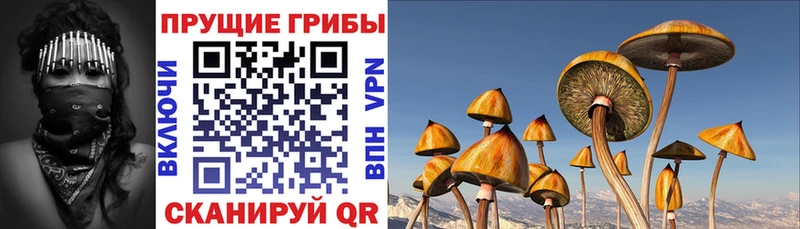 Псилоцибиновые грибы Magic Shrooms  МЕГА как войти  Коряжма 